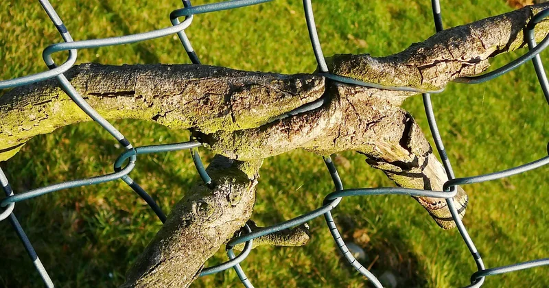 Hébergement atypique nature : ce que "nature" veut vraiment dire
